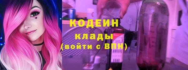 сатива Вяземский