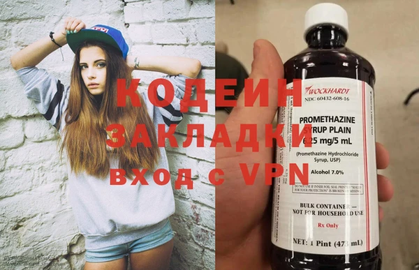 сатива Вяземский