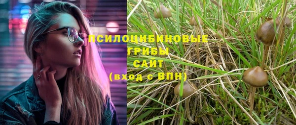 сатива Вяземский