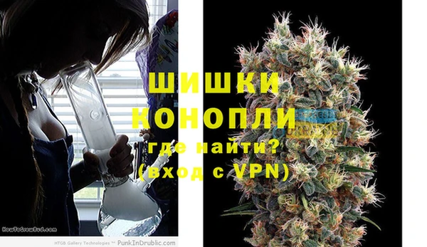 PSILOCYBIN Вязьма