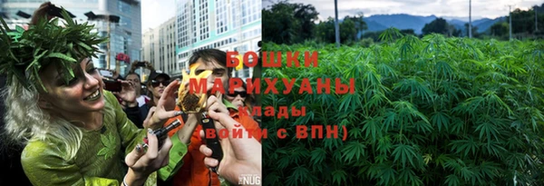 PSILOCYBIN Вязьма