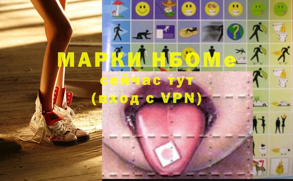 сатива Вяземский