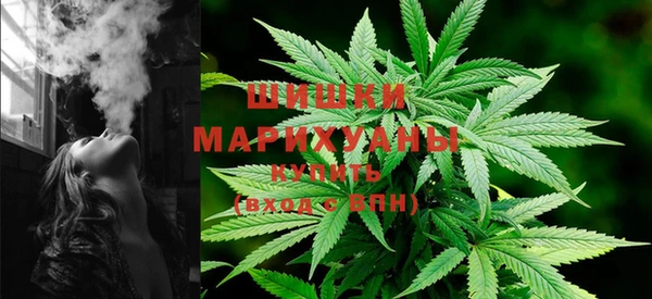 PSILOCYBIN Вязьма