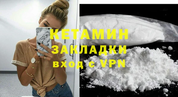 сатива Вяземский