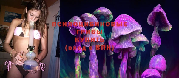 PSILOCYBIN Вязьма