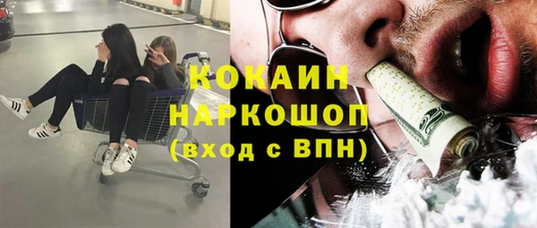 сатива Вяземский