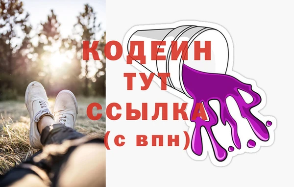 сатива Вяземский