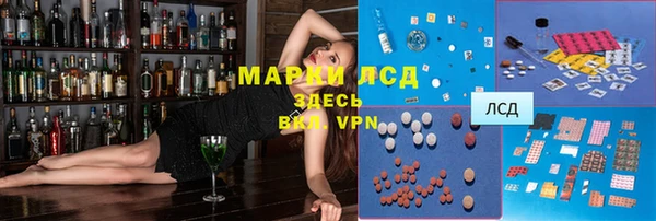 сатива Вяземский