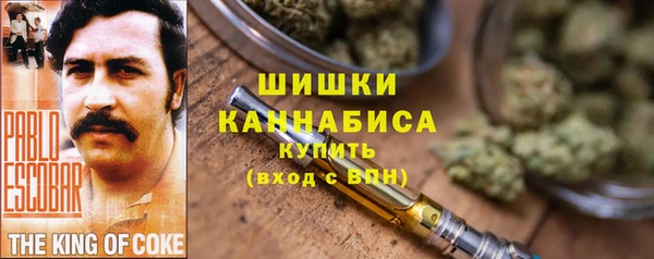 PSILOCYBIN Вязьма