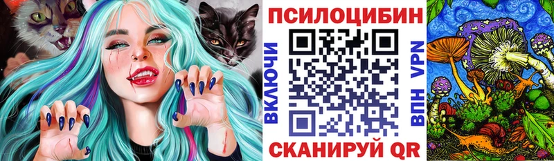 Псилоцибиновые грибы MAGIC MUSHROOMS  где купить наркотик  Меленки 
